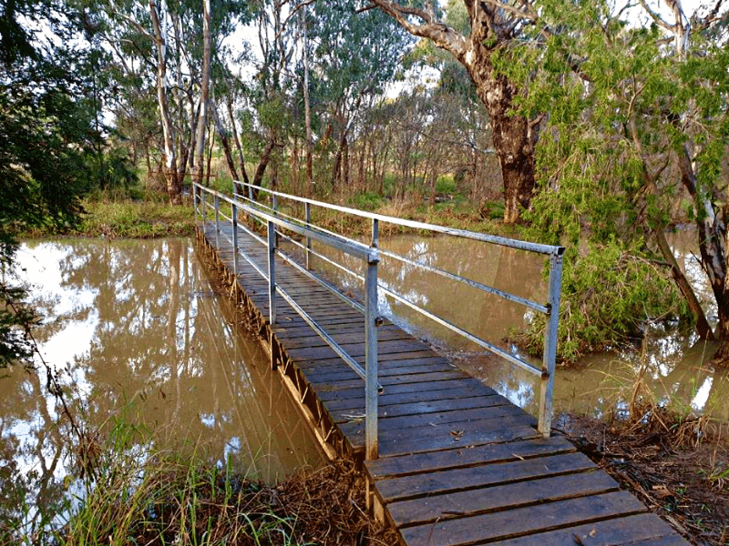 Flowerdale Lagoon existing timber pedestrian bridge before redesigned and installed by Timber Restoration Services and Wood Research development
