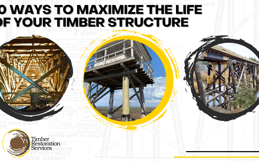 10 Ways to Maximize The Life of Your Timber Structure