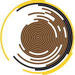 Timber Restoration Services