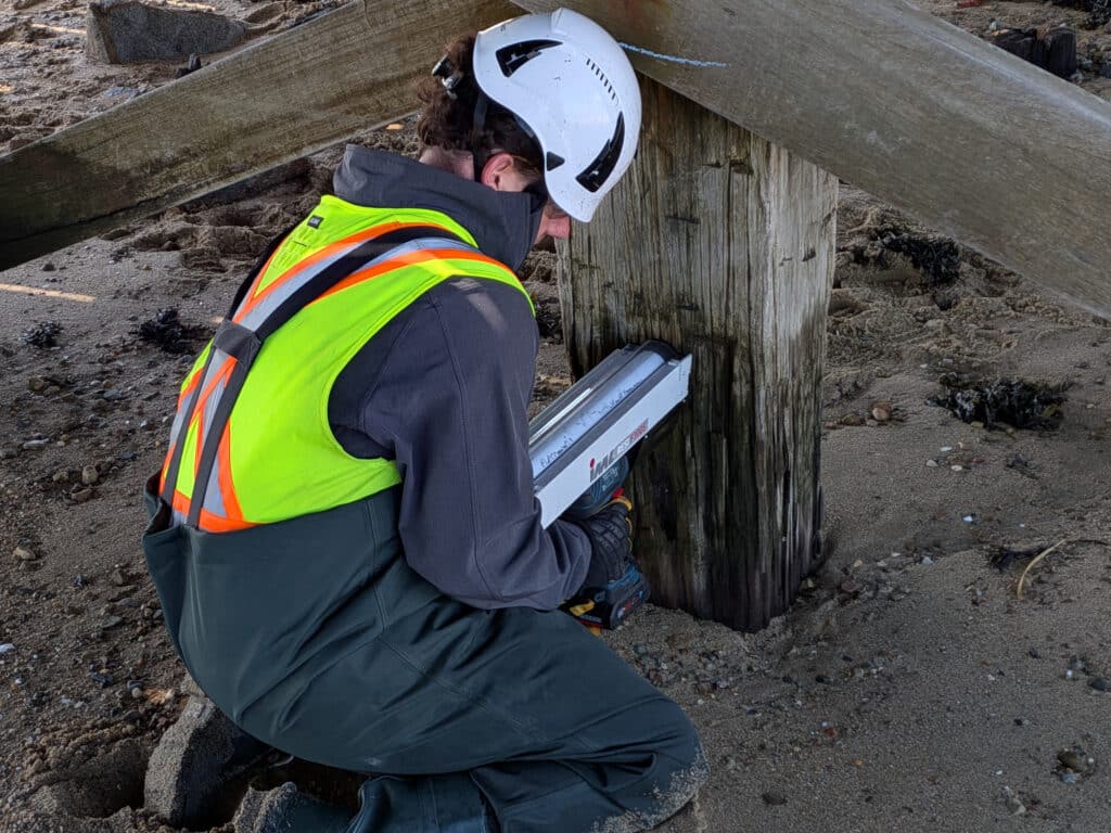 Resistograph testing a timber member