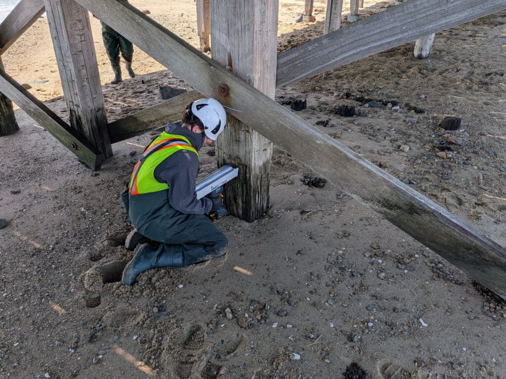 Resistograph testing a timber member