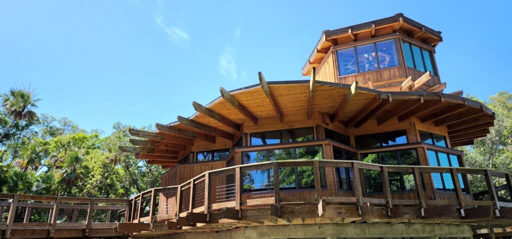 Completed timber structure at The Nest, Robinson Preserve
