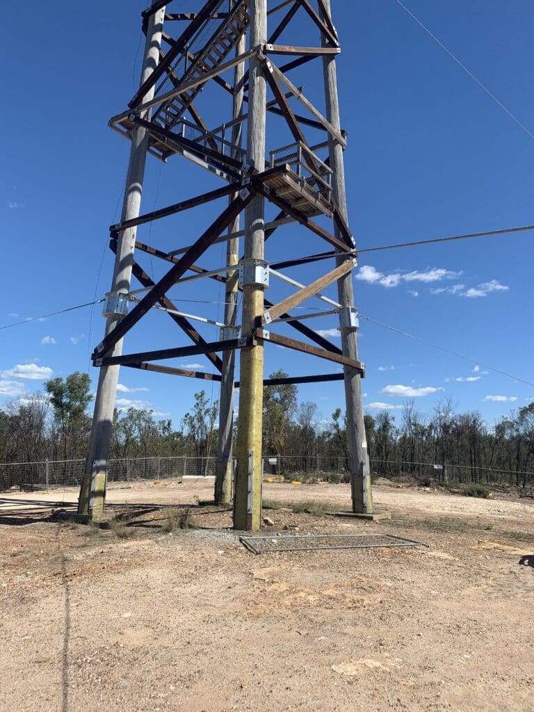Restored grey ironbark pillars at the base of the Waaje Fire Tower