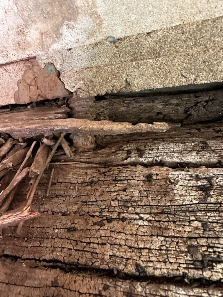 Rotted timber at the concrete and log girder interface of a Doolan Deck bridge